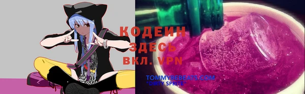эйфоретик Иннополис