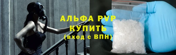 мяу мяу мука Инта