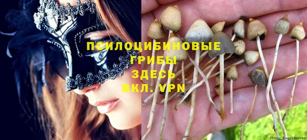 эйфоретик Иннополис