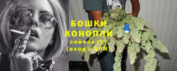 эйфоретик Иннополис