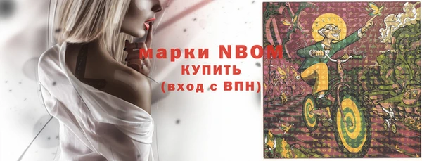 2c-b Инсар