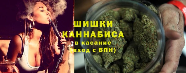 2c-b Инсар